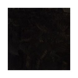 8000000022707_1