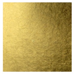 8000000023711_1
