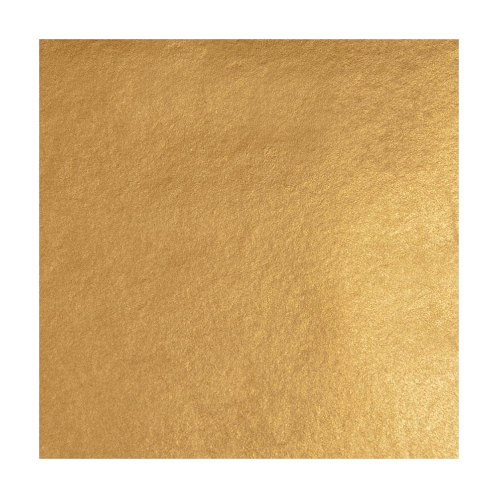 8000000024343_1